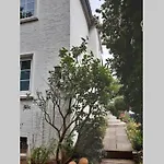 Ganze Mit Garten *