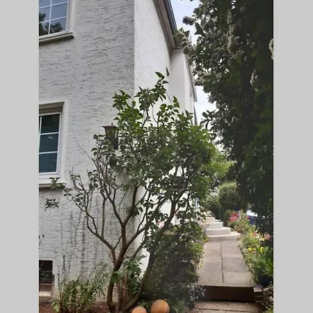 Ganze Mit Garten *